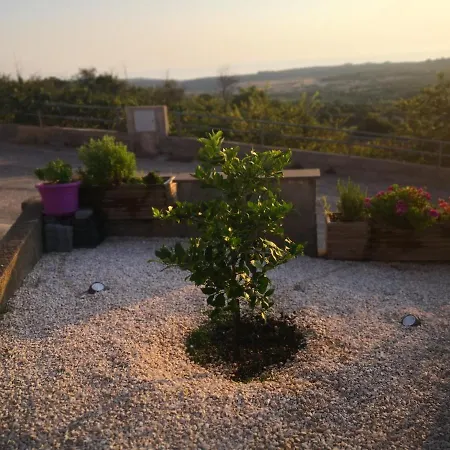 Belvedere Sassos *